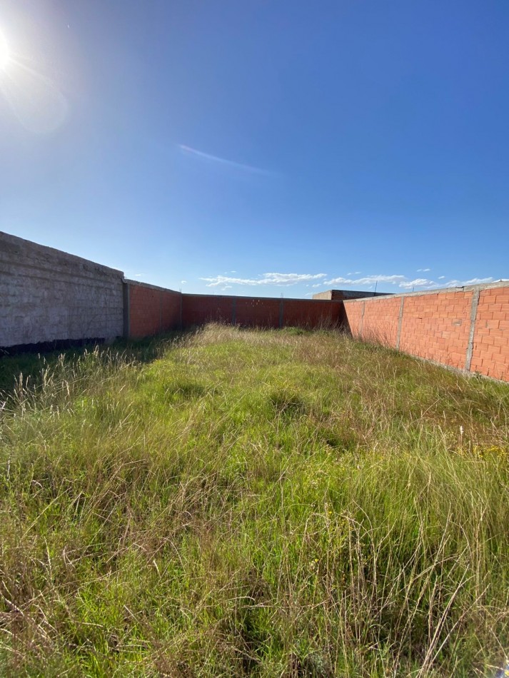 TERRENO EN TRIUNVIRATO 2100