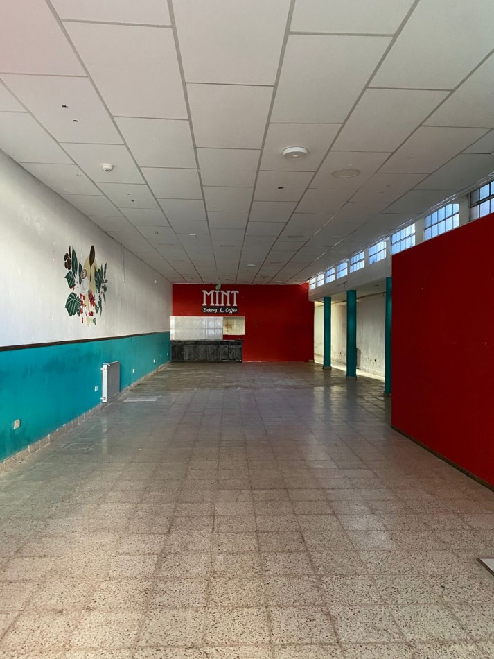 LOCAL COMERCIAL CENTRICO EN PH