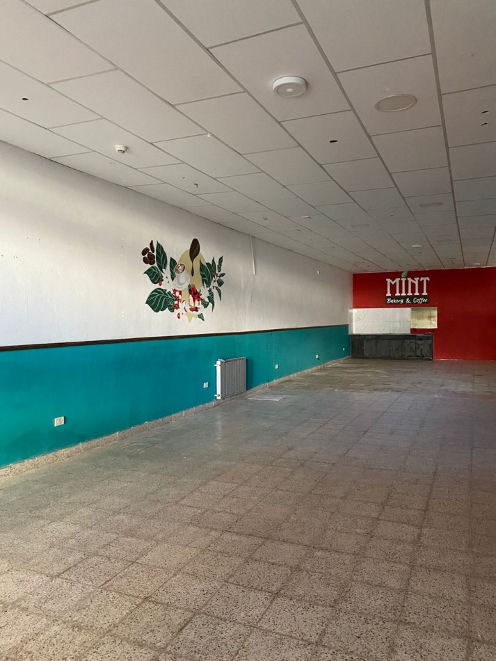 LOCAL COMERCIAL CENTRICO EN PH